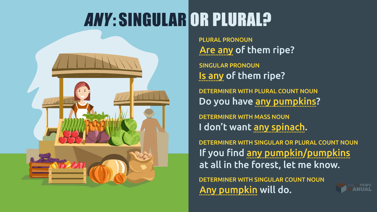 Any Is Or Are Is Any Singular Or Plural Editor S Manual