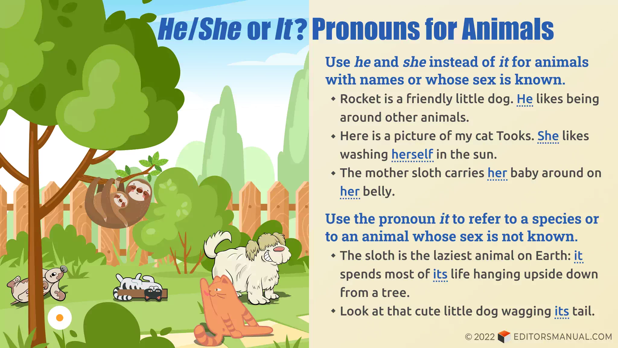 He/She or It? Pronouns for Animals | Editor's Manual